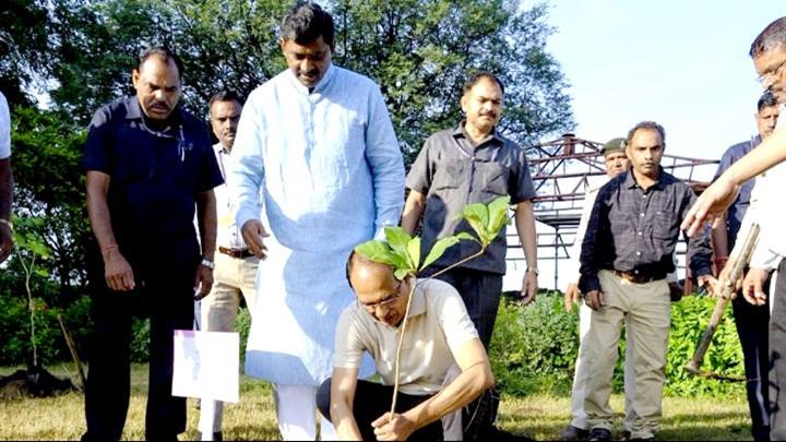 मुख्यमंत्री श्री चौहान ने मांडू में किया पौध-रोपण